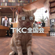 Illustration for article titled This Japanese Meme Is an Eyeful